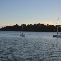 2017-03 New Zealand/Rangitoto/DSC_0078.JPG